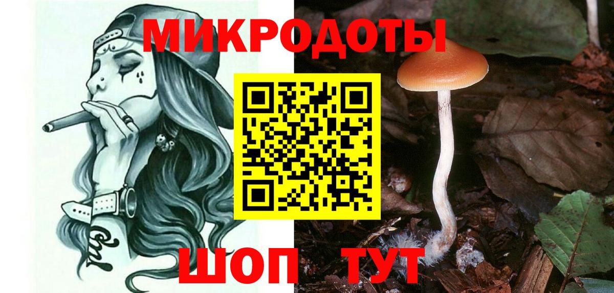 продажа наркотиков  Псилоцибиновые грибы мицелий  Вход с VPN  Зерноград 